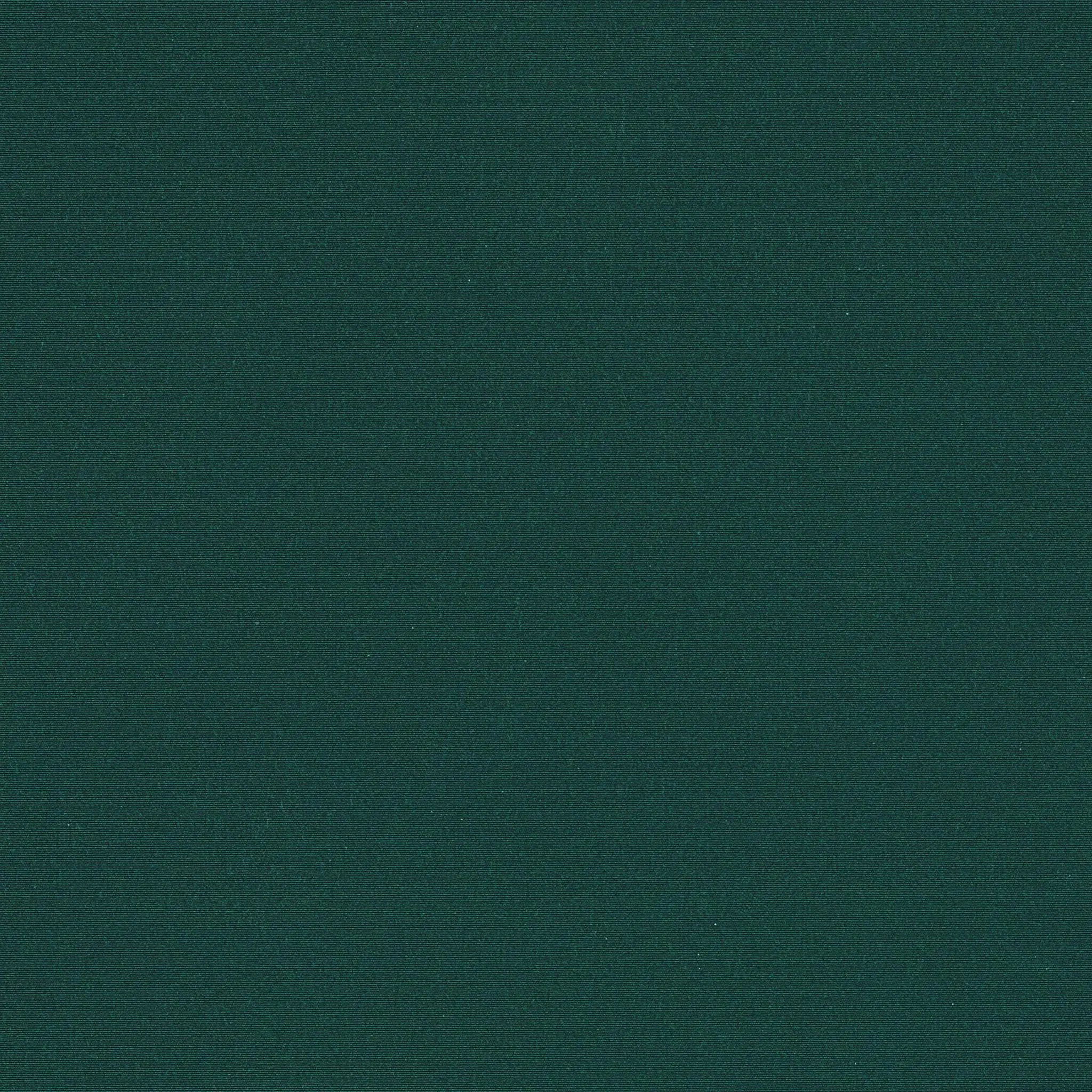 orc_6687_foret_large