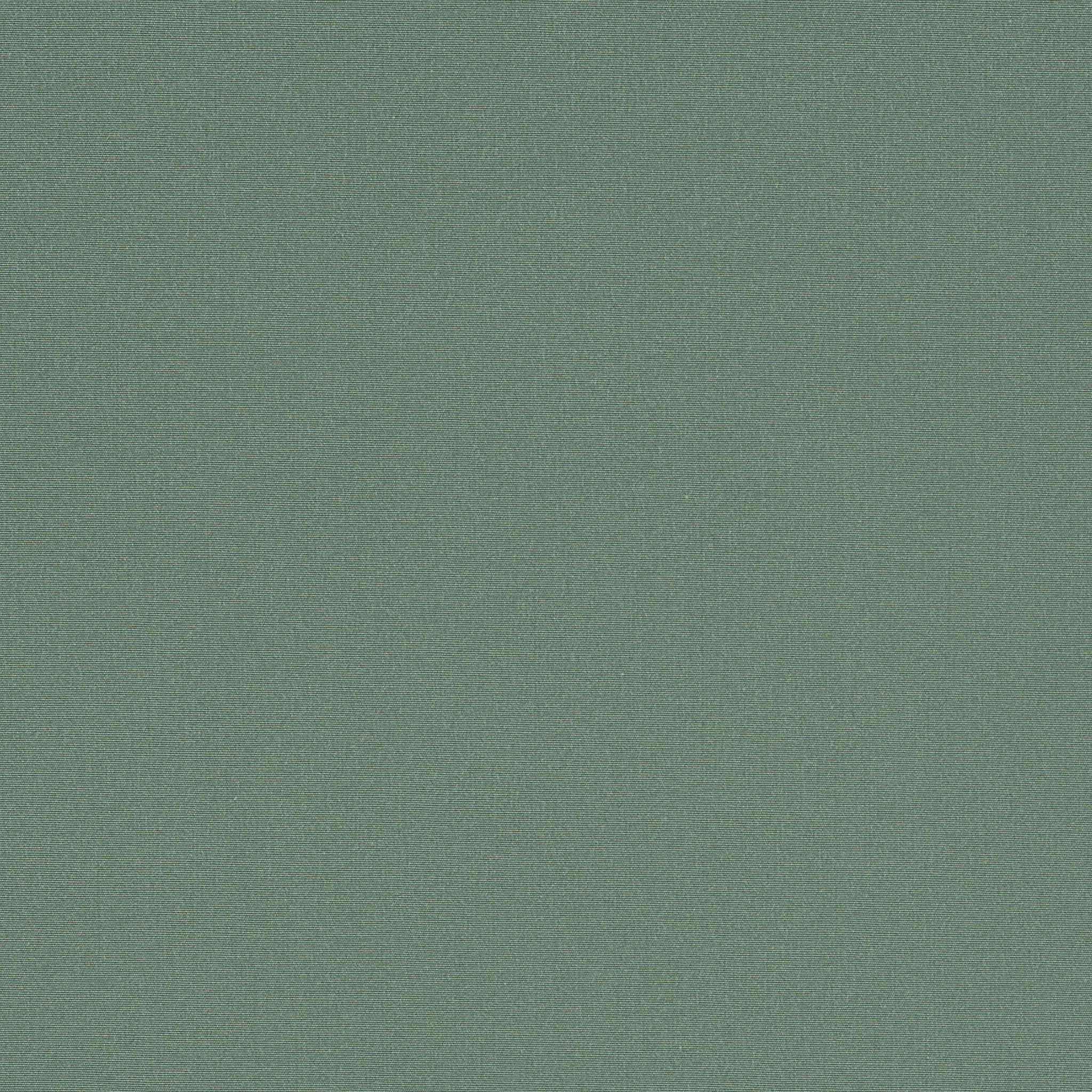 orc_8201_fougere_large