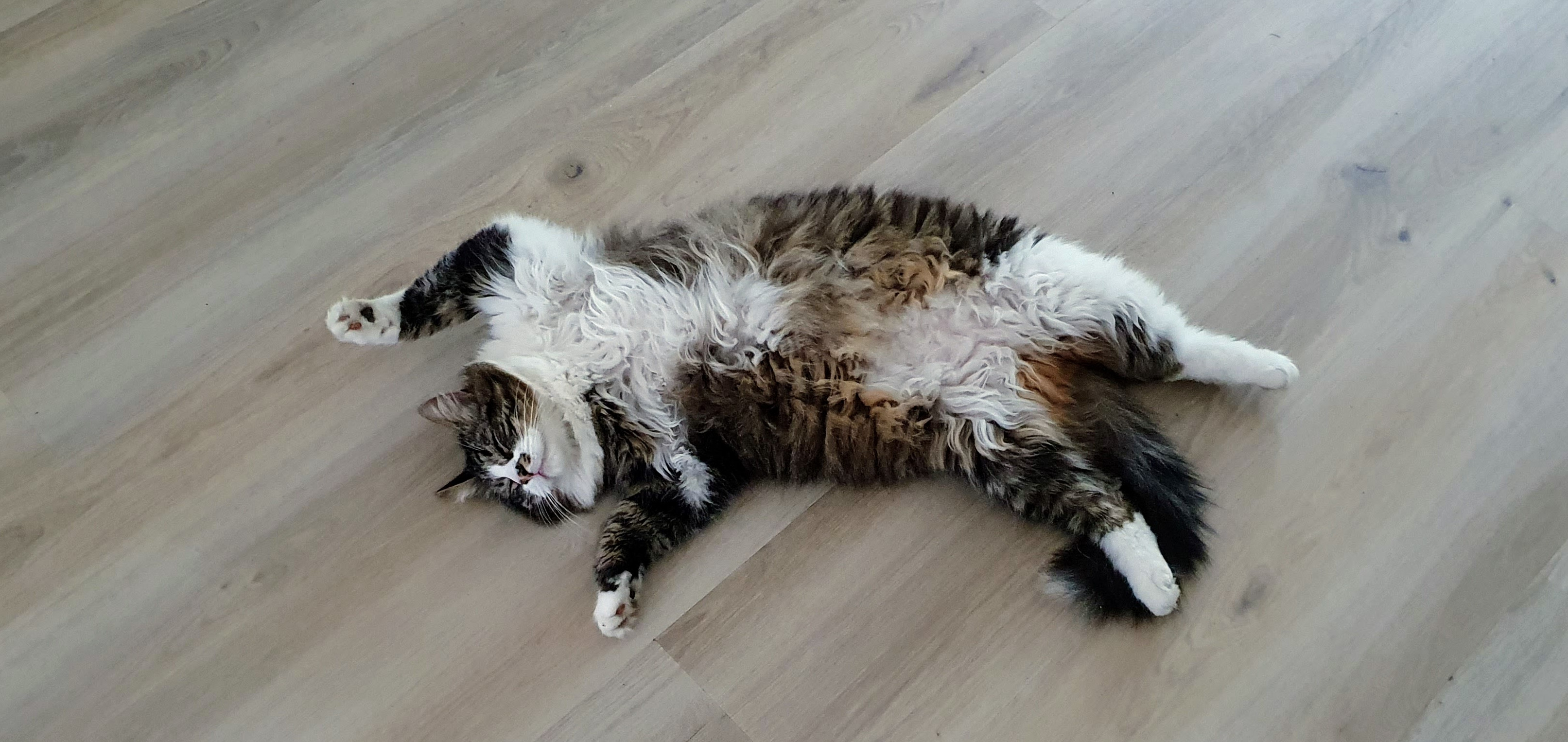 Infrarood vloerverwarming