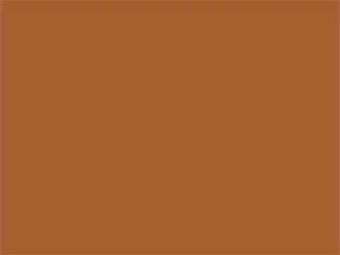 RAL8023 Oranjebruin