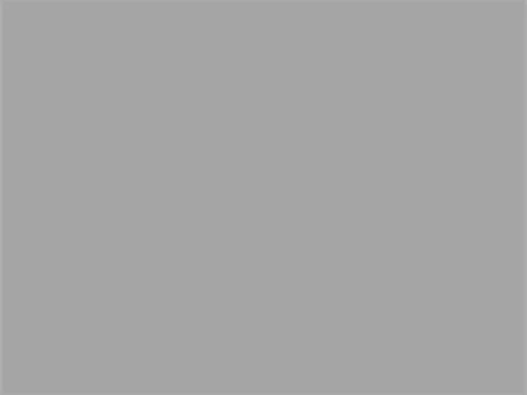 RAL9006 Blank Alu. kleurig