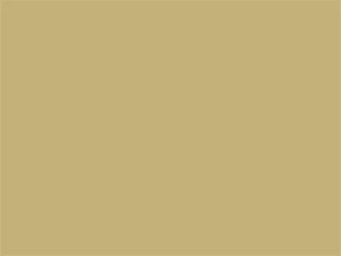 RAL1001 Beige