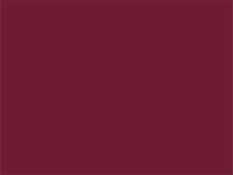 RAL4004 Bordeauxpaars