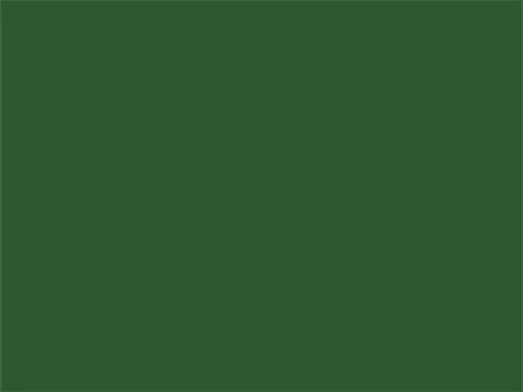 RAL6002 Loofgroen