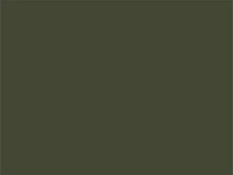 RAL6003 Olijfgroen