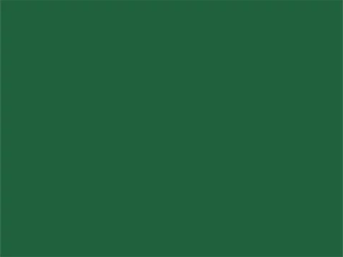RAL6029 Mintgroen