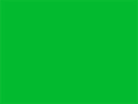 RAL6038 Briljantgroen